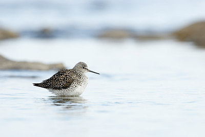 BUITEN BEELD Foto: 169533