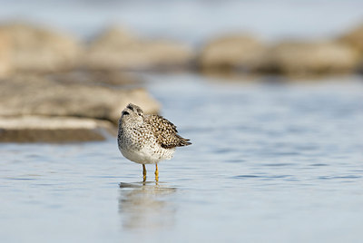 BUITEN BEELD Foto: 169546