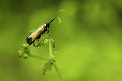 BUITEN BEELD Foto: 169549