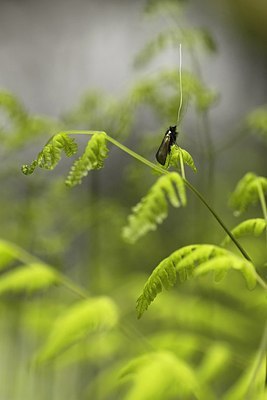 BUITEN BEELD Foto: 169555