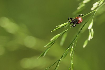 BUITEN BEELD Foto: 169558