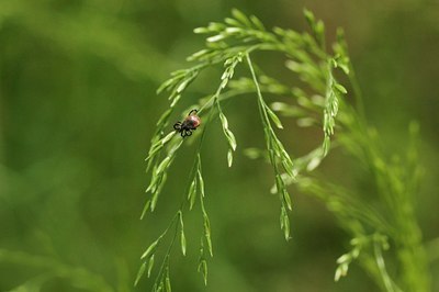 BUITEN BEELD Foto: 169559