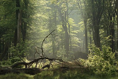 BUITEN BEELD Foto: 169567