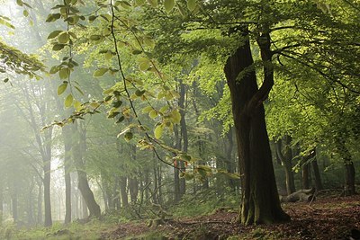 BUITEN BEELD Foto: 169570