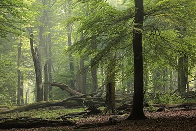 BUITEN BEELD Foto: 169571