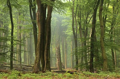 BUITEN BEELD Foto: 169573