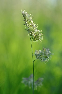 BUITEN BEELD Foto: 169625