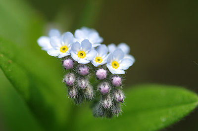 BUITEN BEELD Foto: 169632