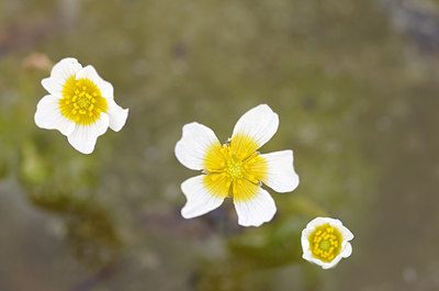 BUITEN BEELD Foto: 169634