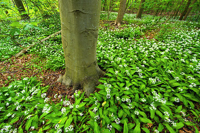 BUITEN BEELD Foto: 169637