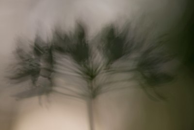 BUITEN BEELD Foto: 169639