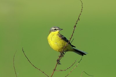 BUITEN BEELD Foto: 169655