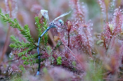 BUITEN BEELD Foto: 169658