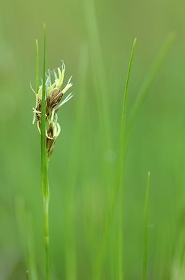 BUITEN BEELD Foto: 169660