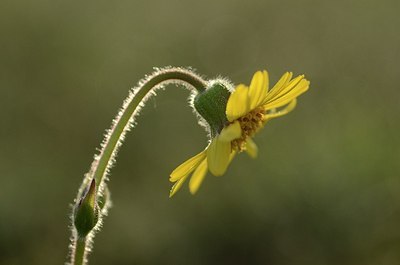 BUITEN BEELD Foto: 169667