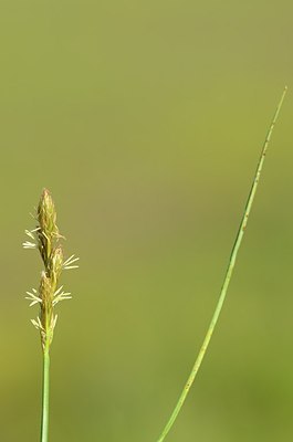 BUITEN BEELD Foto: 169678