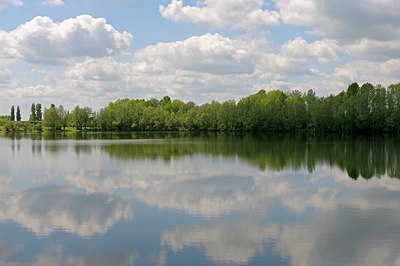 BUITEN BEELD Foto: 169701