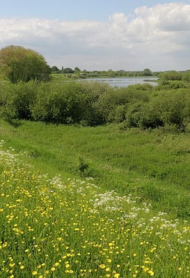 BUITEN BEELD Foto: 169705