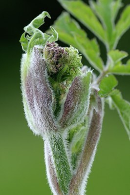BUITEN BEELD Foto: 169732