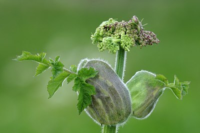 BUITEN BEELD Foto: 169733