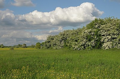 BUITEN BEELD Foto: 169736