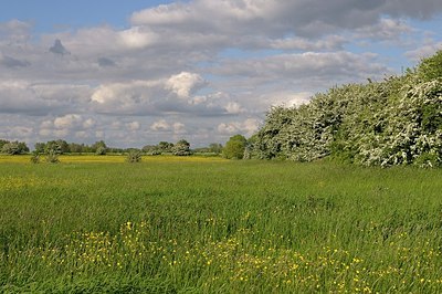 BUITEN BEELD Foto: 169738
