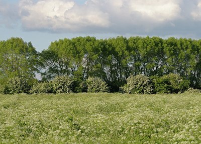 BUITEN BEELD Foto: 169742