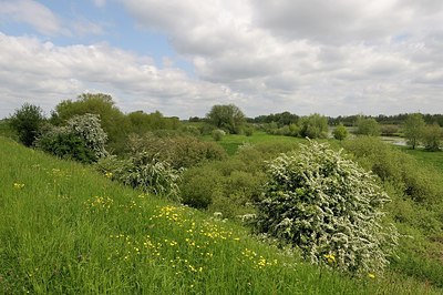 BUITEN BEELD Foto: 169744