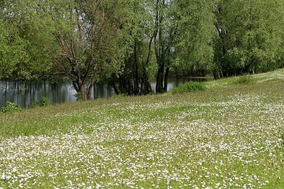 BUITEN BEELD Foto: 169753