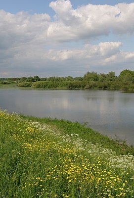 BUITEN BEELD Foto: 169758