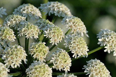BUITEN BEELD Foto: 169761