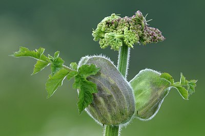 BUITEN BEELD Foto: 169770