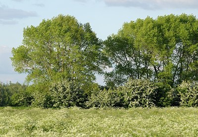 BUITEN BEELD Foto: 169777