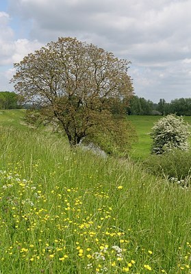 BUITEN BEELD Foto: 169780