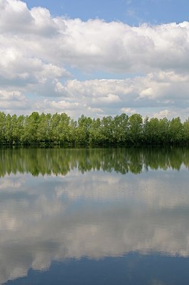 BUITEN BEELD Foto: 169783