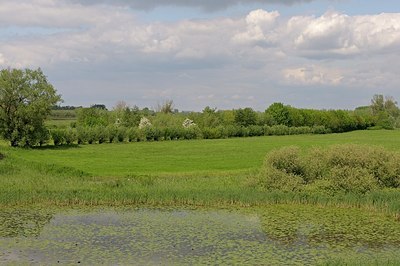 BUITEN BEELD Foto: 169787