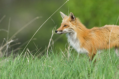BUITEN BEELD Foto: 169808