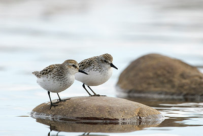 BUITEN BEELD Foto: 169809