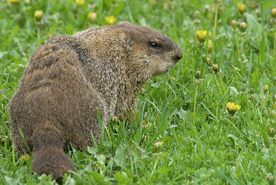 BUITEN BEELD Foto: 169810