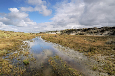BUITEN BEELD Foto: 169820