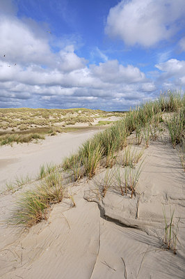 BUITEN BEELD Foto: 169822