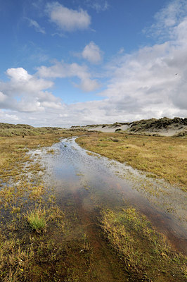 BUITEN BEELD Foto: 169827