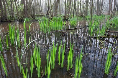 BUITEN BEELD Foto: 169844