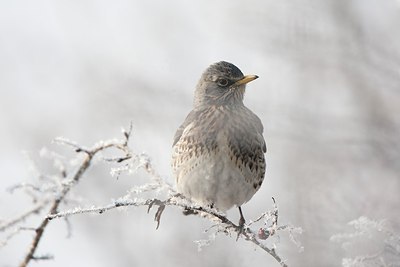 BUITEN BEELD Foto: 169858