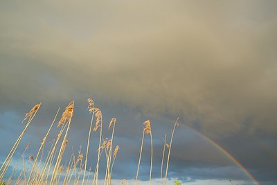 BUITEN BEELD Foto: 169860