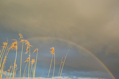 BUITEN BEELD Foto: 169868