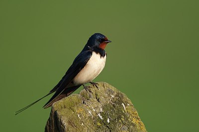 BUITEN BEELD Foto: 169877