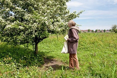 BUITEN BEELD Foto: 169878