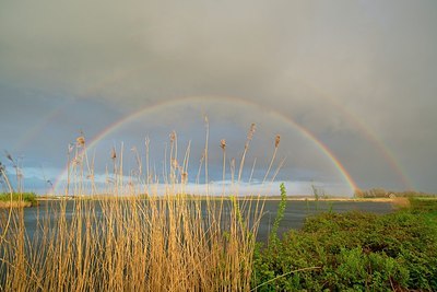 BUITEN BEELD Foto: 169880