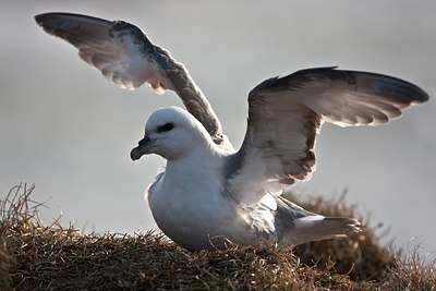 BUITEN BEELD Foto: 169881